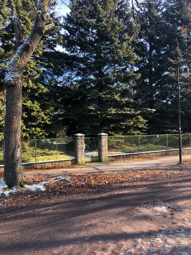 5d66f355-8593-49a9-9501-5346d0f50306